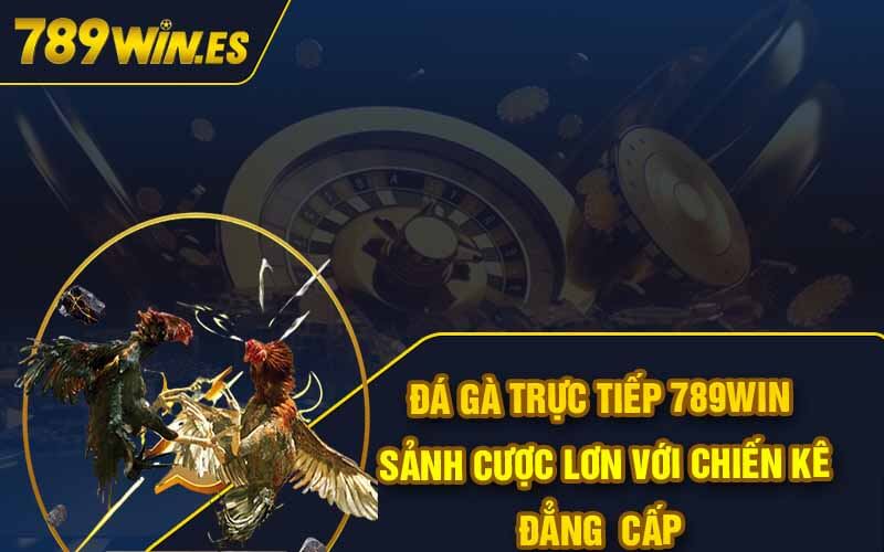 Đá Gà Trực Tiếp 789Win - Sảnh Cược Lơn Với Chiến Kê Đẳng Cấp