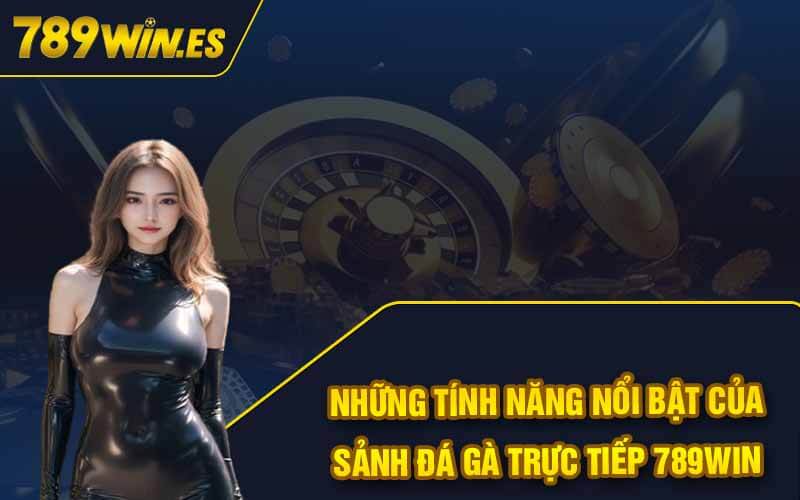 Đá Gà Trực Tiếp 789Win - Sảnh Cược Lơn Với Chiến Kê Đẳng Cấp